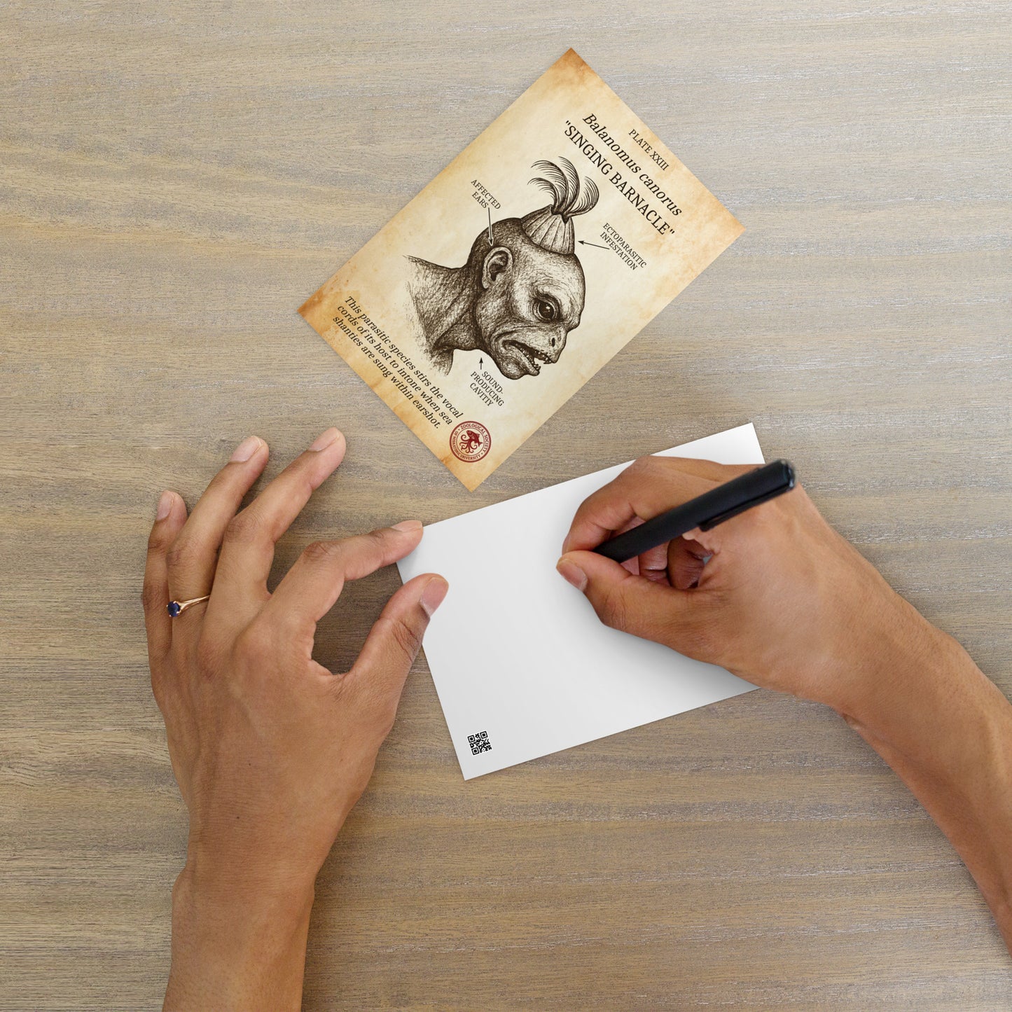 Postal estándar de biología lovecraftiana: El percebe cantor